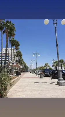 a sidewalk with palm trees and a street light at Atlantis Court in Makenzy in Larnaka