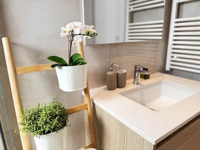 a kitchen with a sink and a potted plant at Wealthystays Premium Residence in Nicosia