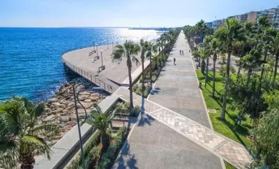a walkway next to the ocean with palm trees at Luxury Beachfront Apartment in Limassol