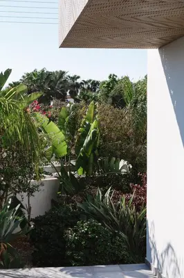 a view of a garden with plants and trees at Nissini Villas in Ayia Napa
