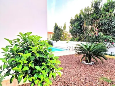 a garden with two plants and a swimming pool at Luxury Villa Azure in Larnaka