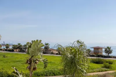 a field of grass with palm trees and the ocean at Sweet Seaview Villa in Ayia Napa