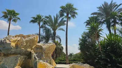 a group of palm trees and rocks in a park at Mediterranean Sunrise Apartments A2 in Voroklini