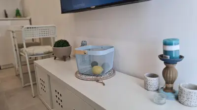 a kitchen counter with a bird cage on it at STAY Napa Oasis Studio in Ayia Napa