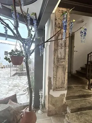 a plant in a vase sitting next to a door at Archontiko Papadopoulou in Mosphiloti