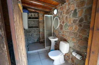 a bathroom with a toilet and a stone wall at Aέναη in Pyrga
