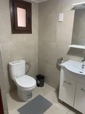 a bathroom with a toilet and a sink at Monolithos Cottage in Pachna