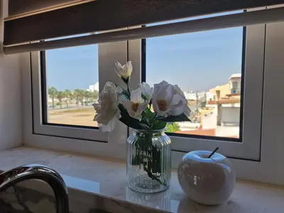 a vase of white flowers sitting on a counter next to a window at Kafkalia Sea Breeze in Larnaka