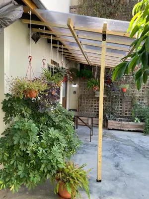 a pergola with potted plants on a patio at Yard room with private entrance in Larnaka