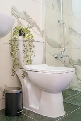 a bathroom with a toilet with a plant on it at Cozy Apartment in Kapparis #80 in Paralimni