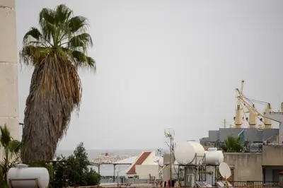 a palm tree in the middle of a city at Azura 3 Bedroom Apartment in Larnaka