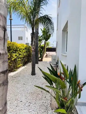 a pathway with palm trees and a building at Nissini Wana Luxury Villa in Ayia Napa