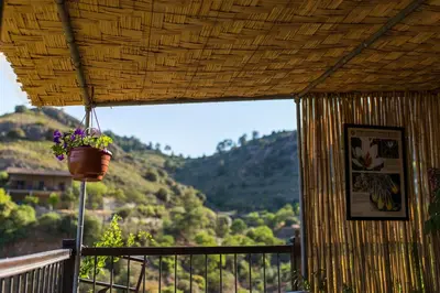 a balcony with a potted plant hanging from a roof at Hatzikyprianou Museum Studio in Lazania
