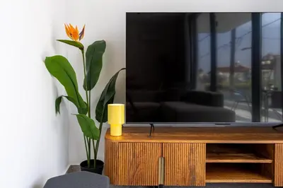a television on a wooden stand with a plant at Solara - Stylish Balcony Apartments in Larnaca in Larnaka