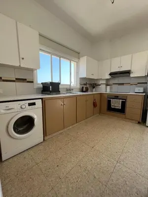 a kitchen with a dishwasher and a washing machine at Huge Terrace in peaceful Oroklini in Voroklini