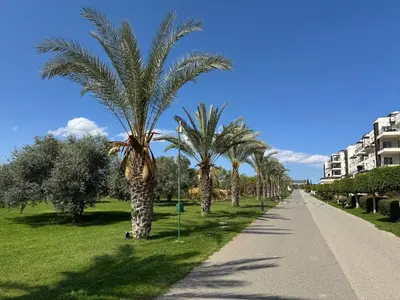 a row of palm trees on the side of a road at Cozy apartment at Thalassa Beach Resort, Northern Cyprus in Paralimni