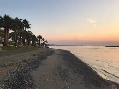 a beach with palm trees and the ocean at sunset at Cozy Holiday Apartment with Balcony in Pyla