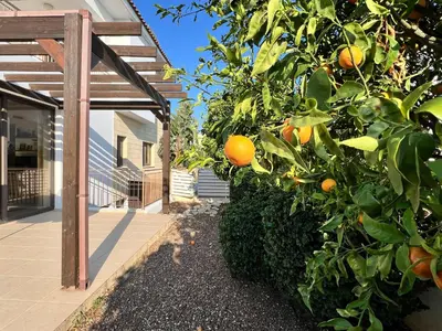 an orange tree in front of a house at Villa Aris in Ayios Theodhoros