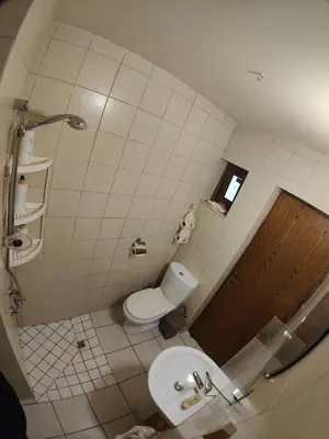 a bathroom with a toilet and a shower at Archontikon 1817 in Kaliana
