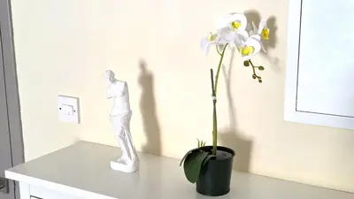 a statue of a man on a table next to a flower at Stylish 2BR Apartment with Balcony, Wifi & Pool in Larnaka