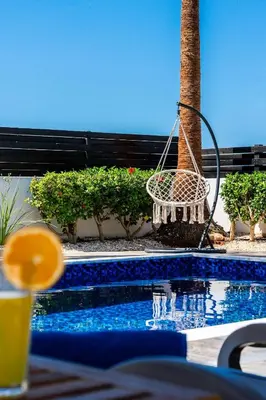 a swing hanging from a palm tree next to a pool at Casa Giovanni By Ezoria Villas in Ayia Napa