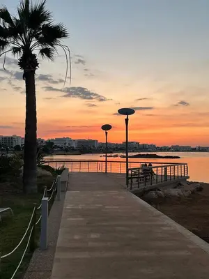 a boardwalk with a palm tree and a sunset at Silver Sands Beach Hotel in Protaras