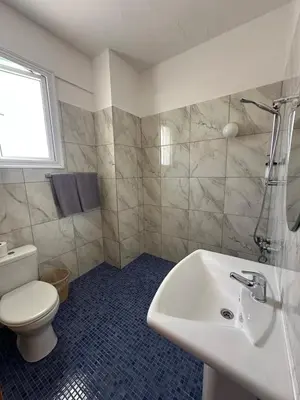 a bathroom with a white toilet and a sink at Ellis Hotel Apartments in Larnaka