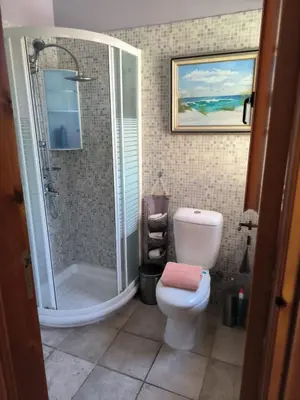 a bathroom with a shower and a toilet and a sink at Ambelli Villa 4 Bedroom Luxury Villa in Skarinou