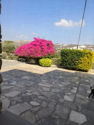 a bunch of pink flowers and bushes on a patio at Ambelli Villa 4 Bedroom Luxury Villa in Skarinou