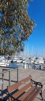 a wooden bench sitting under a tree next to a marina at 3 Bedroom Apartment Old Town Larnaca 5 minute walk to Finnikoudes Beach in Larnaka