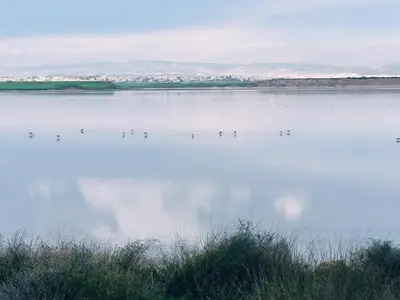 a large lake with birds on the water at 2 Bedroom Brand New Apartment Mc Kenzie 2 minute to the Mc Kenzie Beach in Larnaka