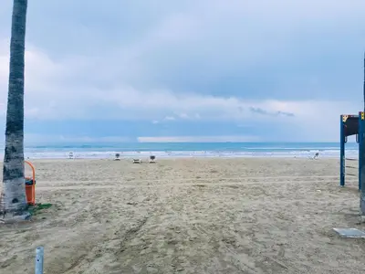 a sandy beach with a palm tree and the ocean at 2 Bedroom Brand New Apartment Mc Kenzie 2 minute to the Mc Kenzie Beach in Larnaka
