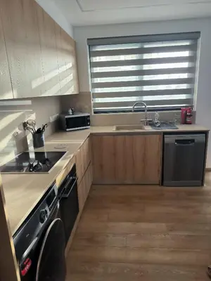 a kitchen with a sink and a stove at 2 Bedroom Brand New Apartment Mc Kenzie 2 minute to the Mc Kenzie Beach in Larnaka