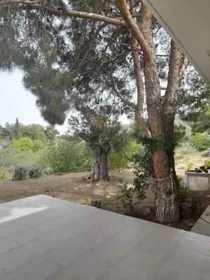 a view of two trees from a patio at Olive & Pinetree House in Lythrodontas