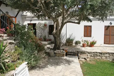 a tree and a bench in front of a house at Cobblers in Maroni