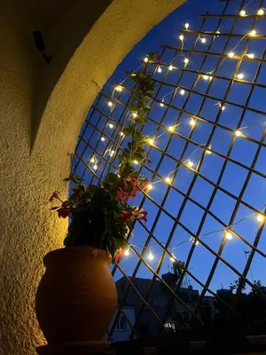 a vase with a plant in front of a window with lights at Casi-Homes in Larnaka