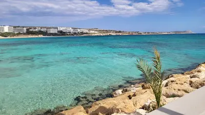 a beach with blue water and a palm tree at Hanapartment 3 bed Ayia NAPA in Ayia Napa