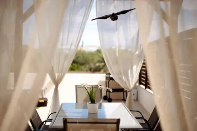 a bird flying over a table on a balcony at Villa Lela in Paralimni