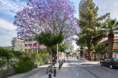 a street with a purple flowering tree on a sidewalk at Urban Condo 10th Floor - 2 Bdr in Nicosia