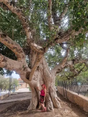 a woman standing next to a large tree at Awaken Your Hidden Goddess Retreat at Nissi Avenue - Central Ayia Napa in Ayia Napa