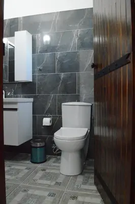 a bathroom with a toilet and a sink at Ecolive Guest House in Ayios Epiphanios