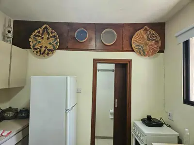 a kitchen with a refrigerator and some plates on the wall at Ambeli - Ambeloui in Kalopanayiotis