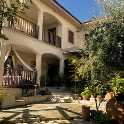 Olive Tree House