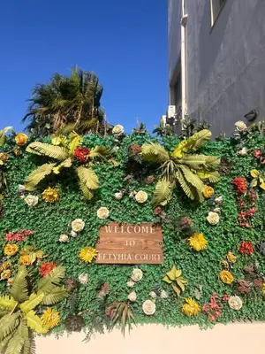 a display of flowers on the side of a building at Sandy Kisses in Larnaka