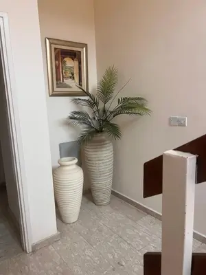 two large white vases with a plant in a room at Sandy Kisses in Larnaka