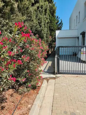 a bush with pink flowers next to a building at Possidon Beach Getaway in Meneou