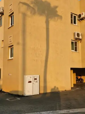 a shadow of a palm tree on the side of a building at ισόγειο διαμέρισμα με αυλή στην περιοχή Κάππαρη κατάλληλο για οικογενεια in Paralimni