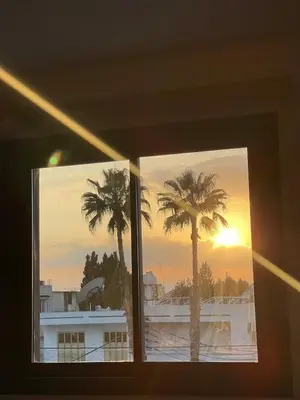a window with a view of a palm tree at Modern Designer Home in Larnaka