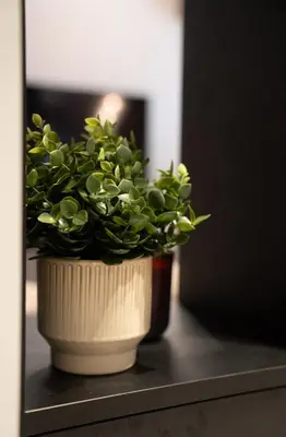 a plant in a white pot sitting on a table at Dest Retreat Beach & City Apt in Limassol