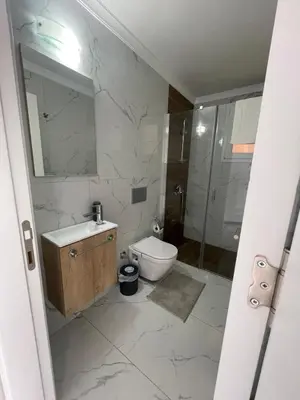 a bathroom with a toilet and a sink and a shower at Four seasons sitesi in Aglantzia